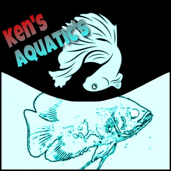 kensaquatics374